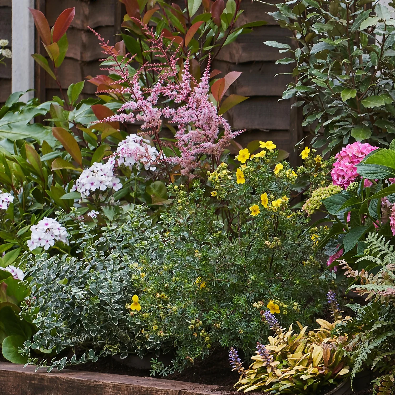 Shady Border Collection - 7m X 90cm 6 Shady Border Collection - 7m X 90cm - Image 4