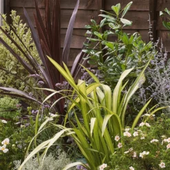 Mediterranean Border Collection - 3m X 60cm -GreenScape Sales Store 12811434 1615027901118194