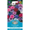Mr. Fothergill's Cornflower Tall Mixed (Centaurea Cyanus) Seeds 1 Mr. Fothergill's Cornflower Tall Mixed (Centaurea Cyanus) Seeds -GreenScape Sales Store 12811553 7354831917689148