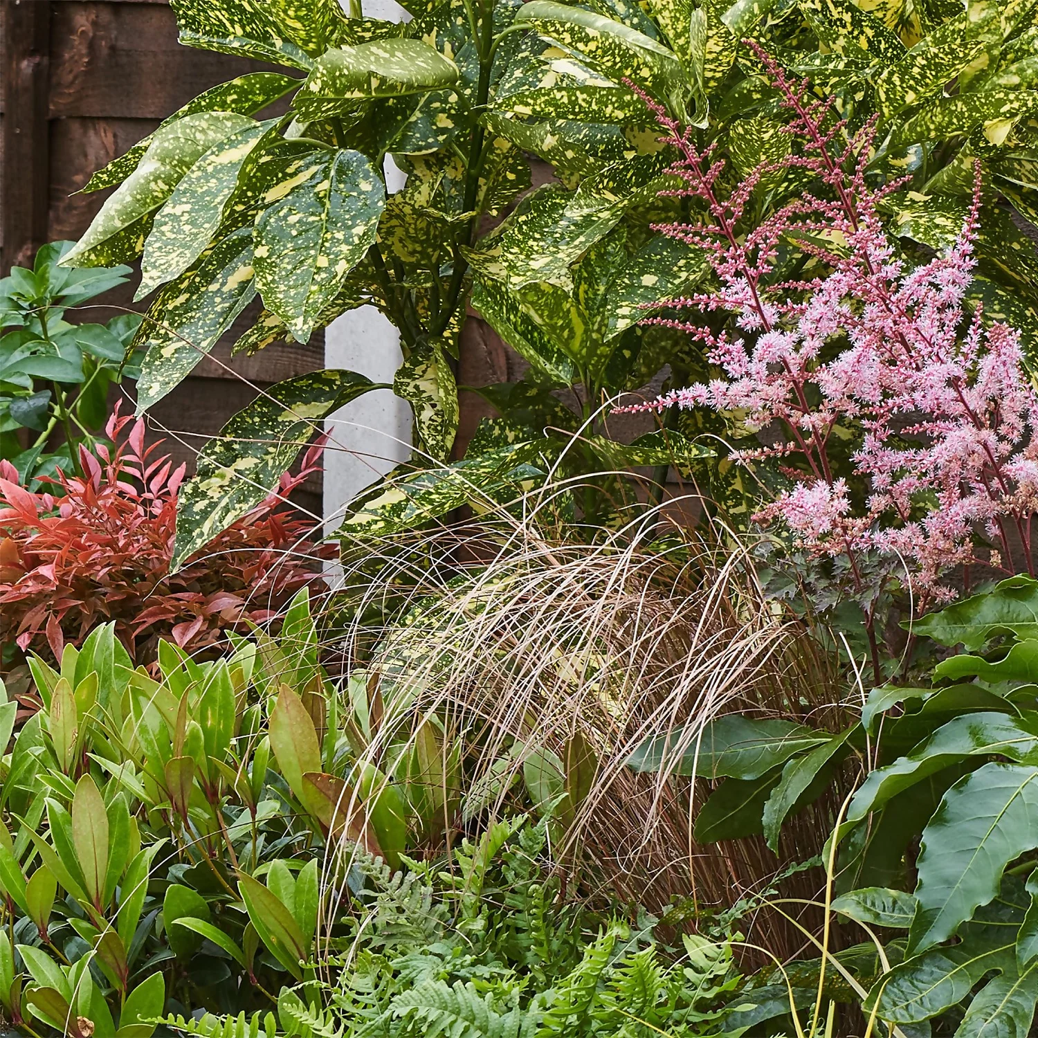 Evergreen Border Collection - 10m X 90cm 8 Evergreen Border Collection - 10m X 90cm - Image 6