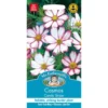 Mr. Fothergill's Cosmos Candy Stripe Seeds -GreenScape Sales Store 12811807 2834831967075664