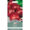 Mr. Fothergill's Onion Red Baron (Allium Cepa) Bulbs -GreenScape Sales Store 12812264 6214831432107876