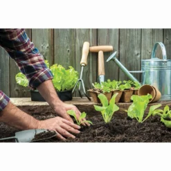 RHS Horticultural Potting Grit Large Pack - 20kg -GreenScape Sales Store 12812881 1004857553526019