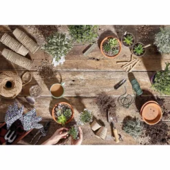 RHS Horticultural Grit Sand - Large - 20kg -GreenScape Sales Store 12812883 1834857553141332