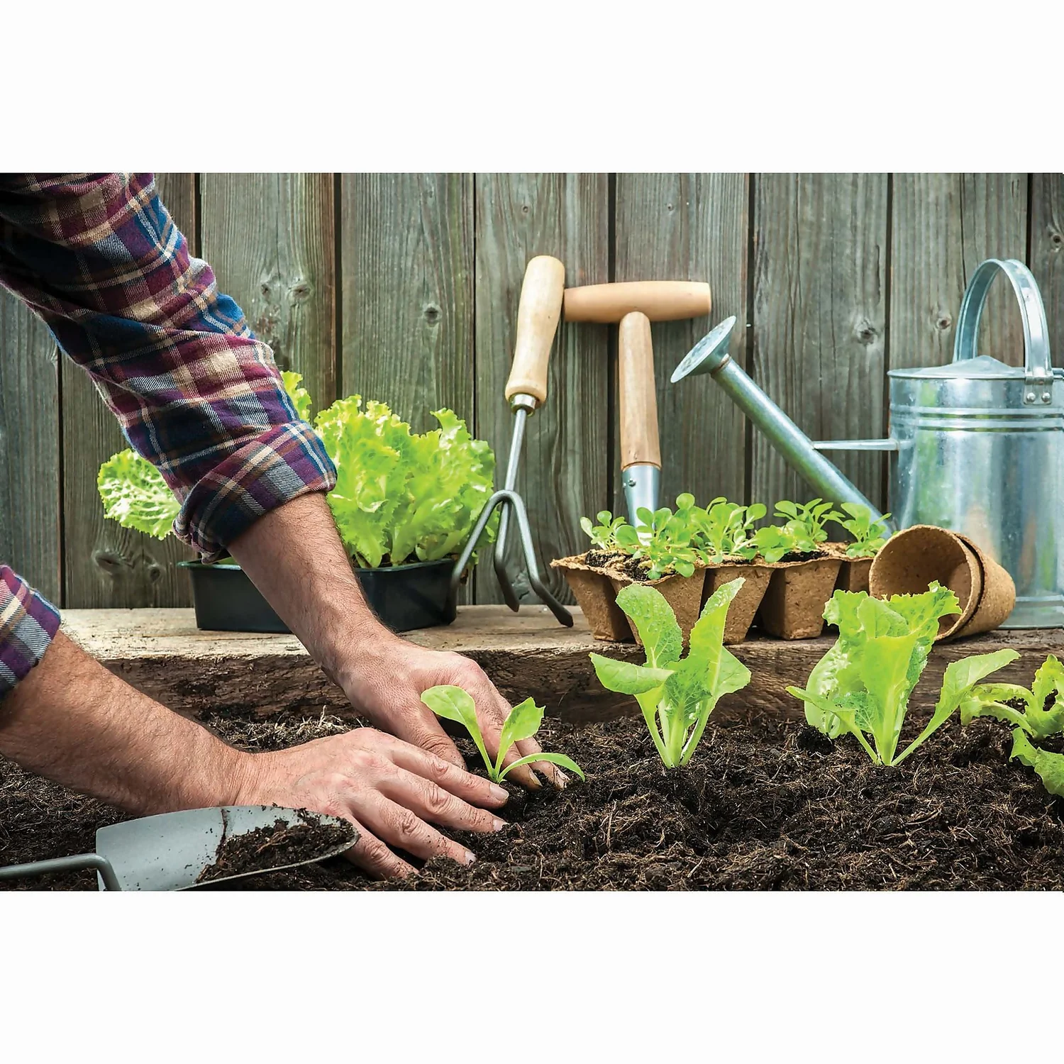 RHS Horticultural Silver Sand - Large - 20kg 4 RHS Horticultural Silver Sand - Large - 20kg - Image 2