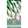 Mr. Fothergill's Spring Onion White Lisbon Winter Hardy (Allium Cepa) Bulbs -GreenScape Sales Store 12813012 9634831907224011