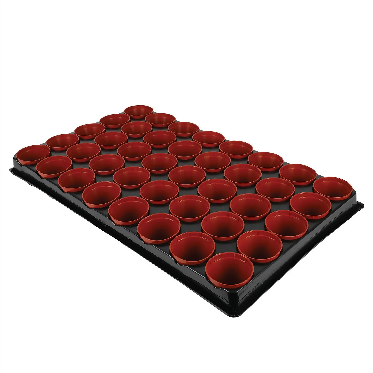 Seed And Cutting Tray - 40 Pots 4 Seed And Cutting Tray - 40 Pots - Image 2