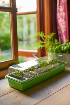 Windowsill Greenhouse -GreenScape Sales Store 12813213 8414955307973689