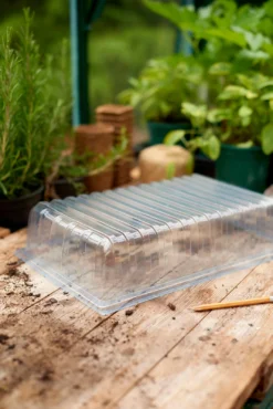 Propagator Lid 5 Propagator Lid -GreenScape Sales Store 12813214 5604955307968229