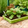 Seed Trays (Pack Of 4) -GreenScape Sales Store 12813215 1605037974365701