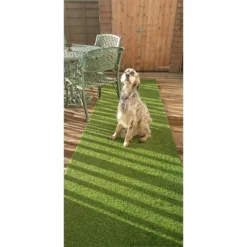 Nomow 20mm Meadow Grass Artificial Grass Roll - 2m Width -GreenScape Sales Store 12813441 1904843355255718
