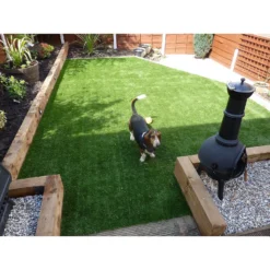 Nomow 20mm Meadow Grass Artificial Grass Roll - 2m Width -GreenScape Sales Store 12813441 4464843355284770