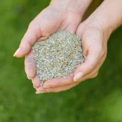 Westland Safe Lawn Natural Lawn Feed - 150m² -GreenScape Sales Store 12814336 1595061828066483