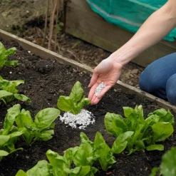 Ecofective Natural Slug Defence - 2L -GreenScape Sales Store 12814540 2134833194077626