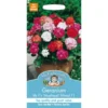 Mr. Fothergill's Geranium Mophead Selection Mixed F1 (Pelargonium Zonale) Seeds -GreenScape Sales Store 12814967 2024831945554066