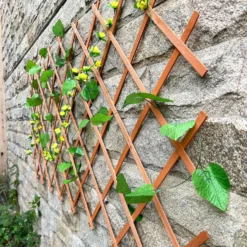 Sprout Garden Expanding Trellis 1.8m X 0.6m 7 Sprout Garden Expanding Trellis 1.8m X 0.6m -GreenScape Sales Store 12814979 1255013038613717