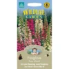 Mr. Fothergill's Foxglove Foxy Mixed (Digitalis Purpurea) Seeds -GreenScape Sales Store 12815059 1274831958518431