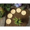 Stylish Stone Stepping Stone 300mm - Gold 2 Stylish Stone Stepping Stone 300mm - Gold -GreenScape Sales Store 12815358 3964831910106231