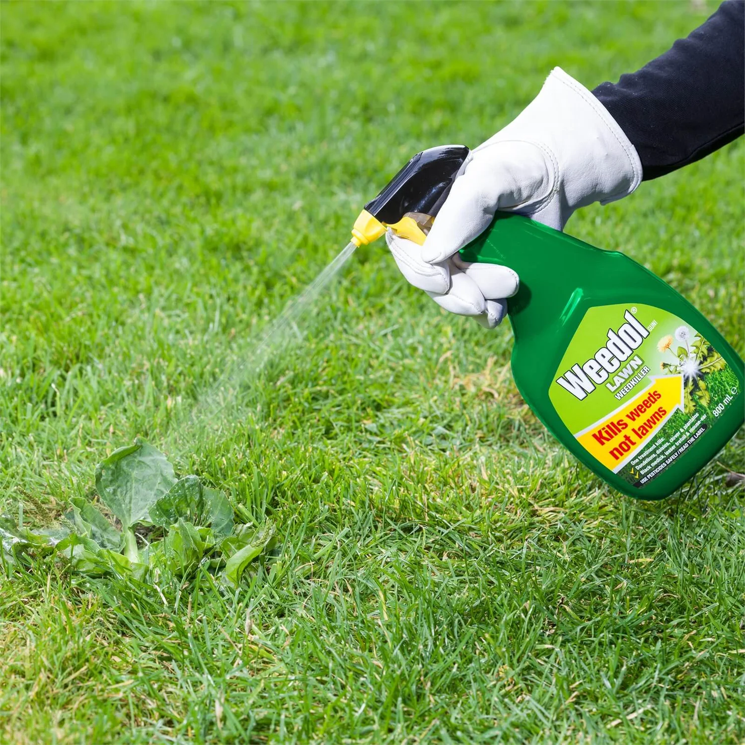 Weedol Gun! Lawn Ready To Use Weedkiller - 800ml 5 Weedol Gun! Lawn Ready To Use Weedkiller - 800ml - Image 3
