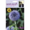 Mr. Fothergill's Echinops Globe Thistle Seeds 2 Mr. Fothergill's Echinops Globe Thistle Seeds -GreenScape Sales Store 12815766 5594831955077629