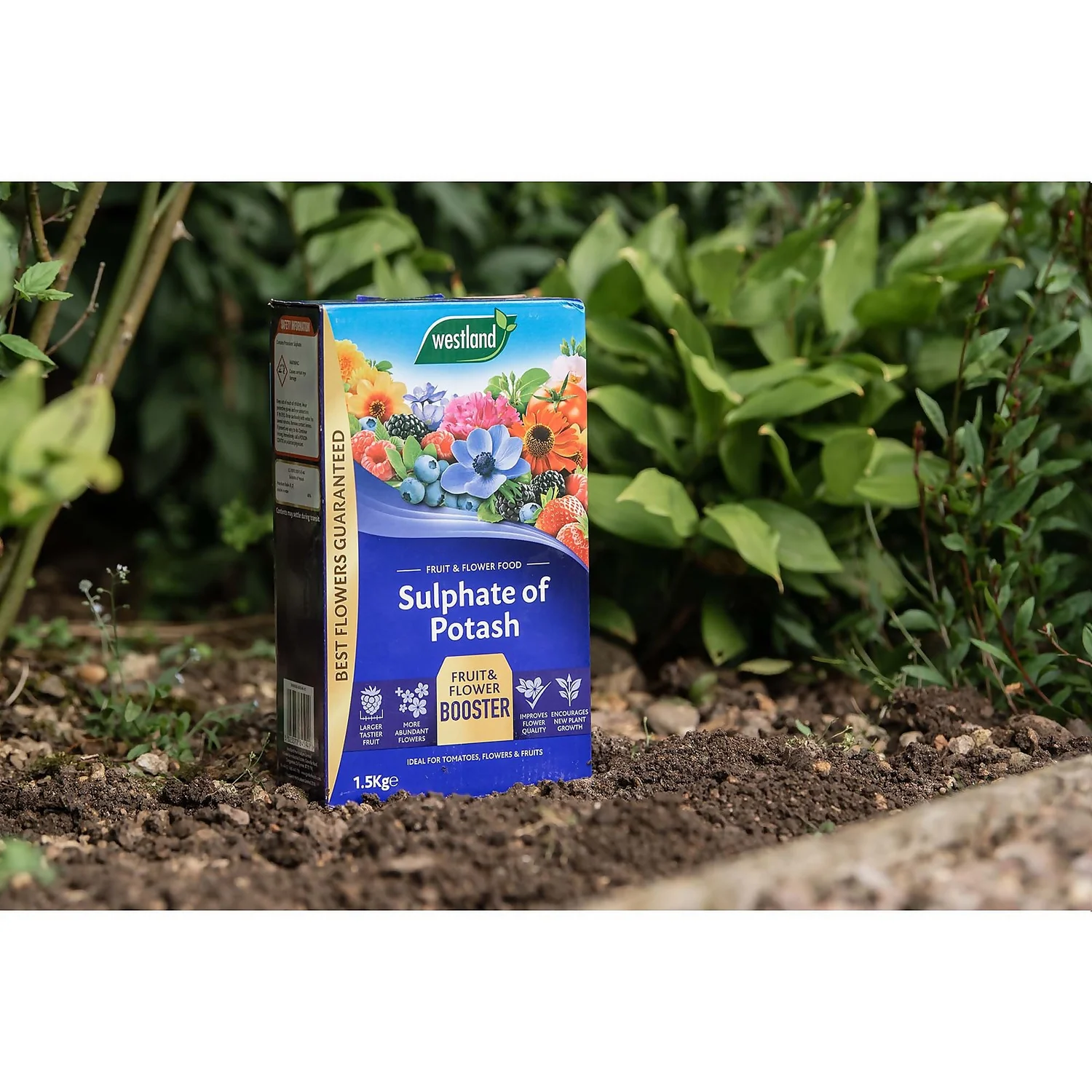 Westland Sulphate Of Potash - 1.5kg 4 Westland Sulphate Of Potash - 1.5kg - Image 2