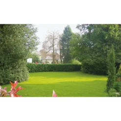 Nomow 28mm Garden Grass Artificial Grass Roll - 2m Width 13 Nomow 28mm Garden Grass Artificial Grass Roll - 2m Width -GreenScape Sales Store 12816410 1224832990492835