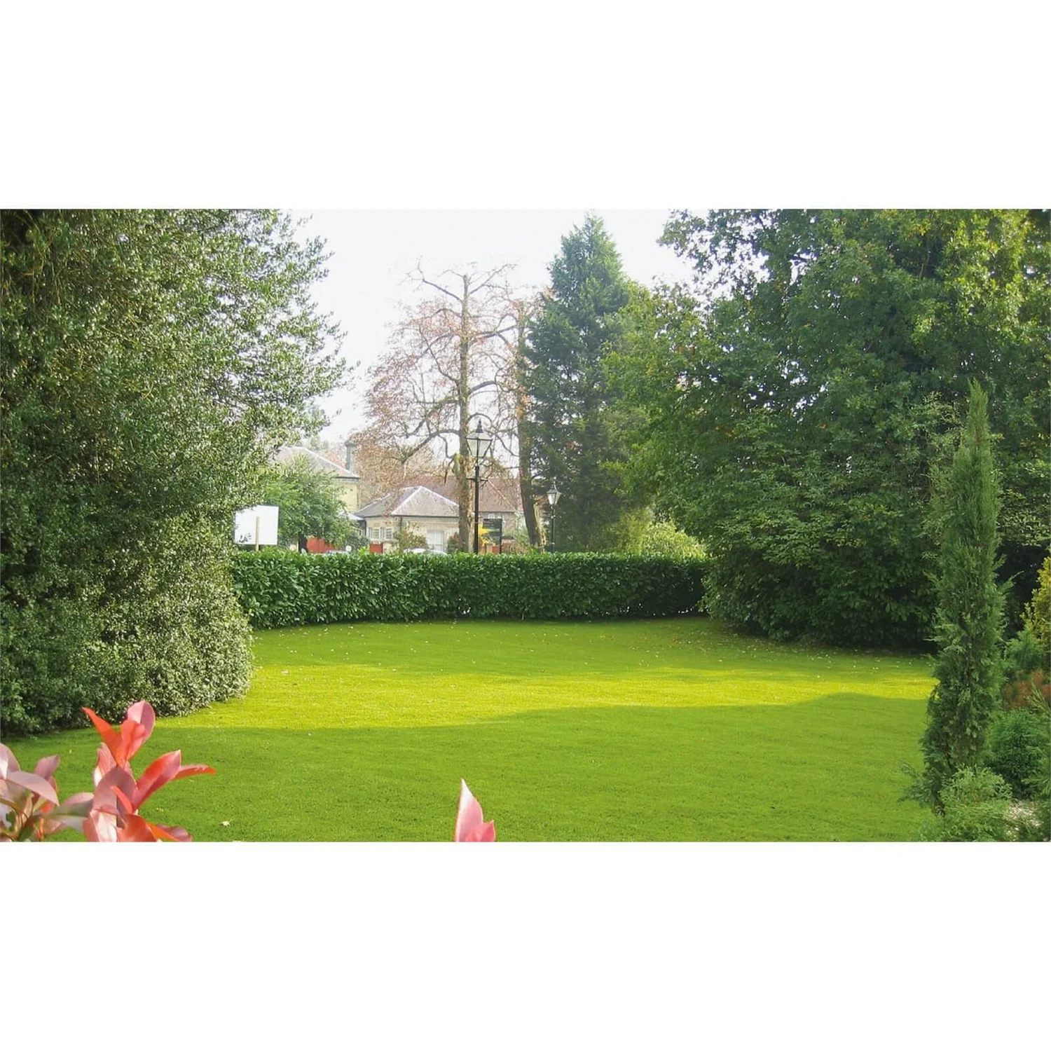 Nomow 28mm Garden Grass Artificial Grass Roll - 2m Width 7 Nomow 28mm Garden Grass Artificial Grass Roll - 2m Width - Image 5