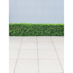 Stylish Stone Cambridge Textured Paving 450 X 450mm - Full Pack - Buff 8 Stylish Stone Cambridge Textured Paving 450 X 450mm - Full Pack - Buff -GreenScape Sales Store 12816932 1194833196632123