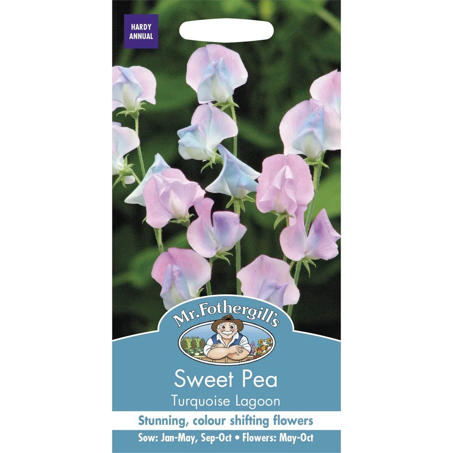 Mr. Fothergill's Sweet Pea Turqoise Lagoon 3 Mr. Fothergill's Sweet Pea Turqoise Lagoon