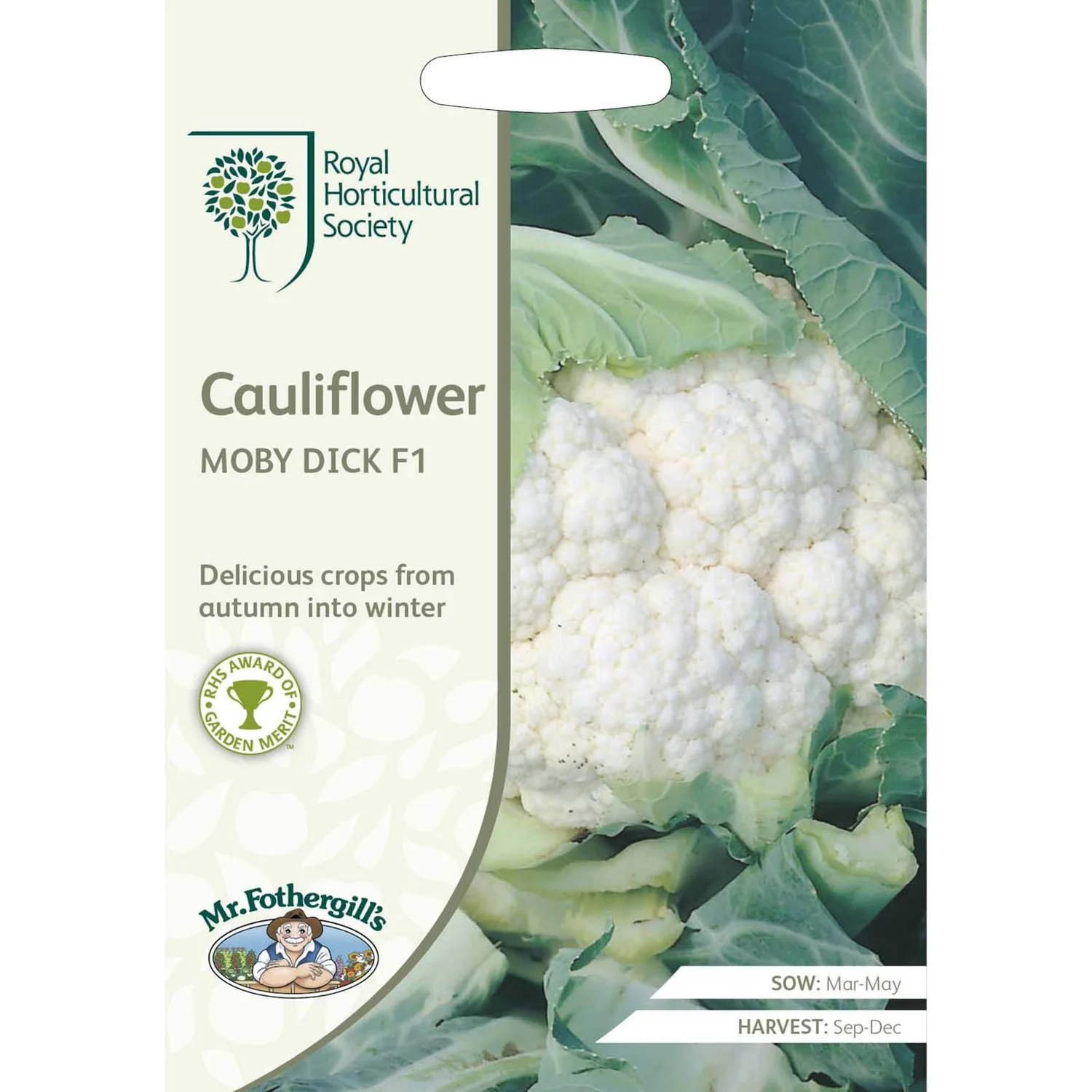 RHS Cauliflower Moby Dick F1 Seeds 3 RHS Cauliflower Moby Dick F1 Seeds