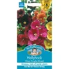 Mr. Fothergill's Hollyhock Giant Single Mixed (Alcea Rosea) Seeds -GreenScape Sales Store 12818836 1664831960813749