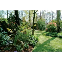 Nomow 40mm Luxury Lawn Artificial Grass Roll - 2m Width 11 Nomow 40mm Luxury Lawn Artificial Grass Roll - 2m Width -GreenScape Sales Store 12819110 2964833199179033