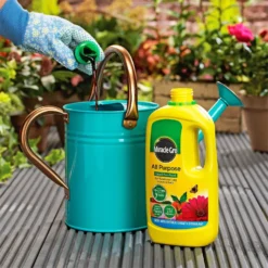 Miracle-Gro All Purpose Concentrated Liquid Plant Food - 1L -GreenScape Sales Store 12819549 1144832990379429