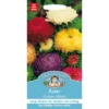 Mr. Fothergill's Aster Duchess Mixed Seeds -GreenScape Sales Store 12819849 1064831940406666