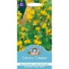 Mr. Fothergill's Canary Creeper Seeds -GreenScape Sales Store 12819854 1564831968789252