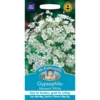 Mr. Fothergill's Gypsophilia Monarch White Seeds -GreenScape Sales Store 12819956 1784831950991092