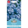 Mr. Fothergill's Nemesia Blue Gem Seeds -GreenScape Sales Store 12819966 1694831955533737
