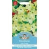 Mr. Fothergill's Nicotiana Lime Green Seeds -GreenScape Sales Store 12819970 1714831956114300