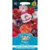 Mr. Fothergill's Poppy Dawn Chorus Seeds -GreenScape Sales Store 12819971 4064831951721304
