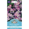 Mr. Fothergill's Stock Virginian Spring Sparkle Seeds -GreenScape Sales Store 12819974 6974831961467686