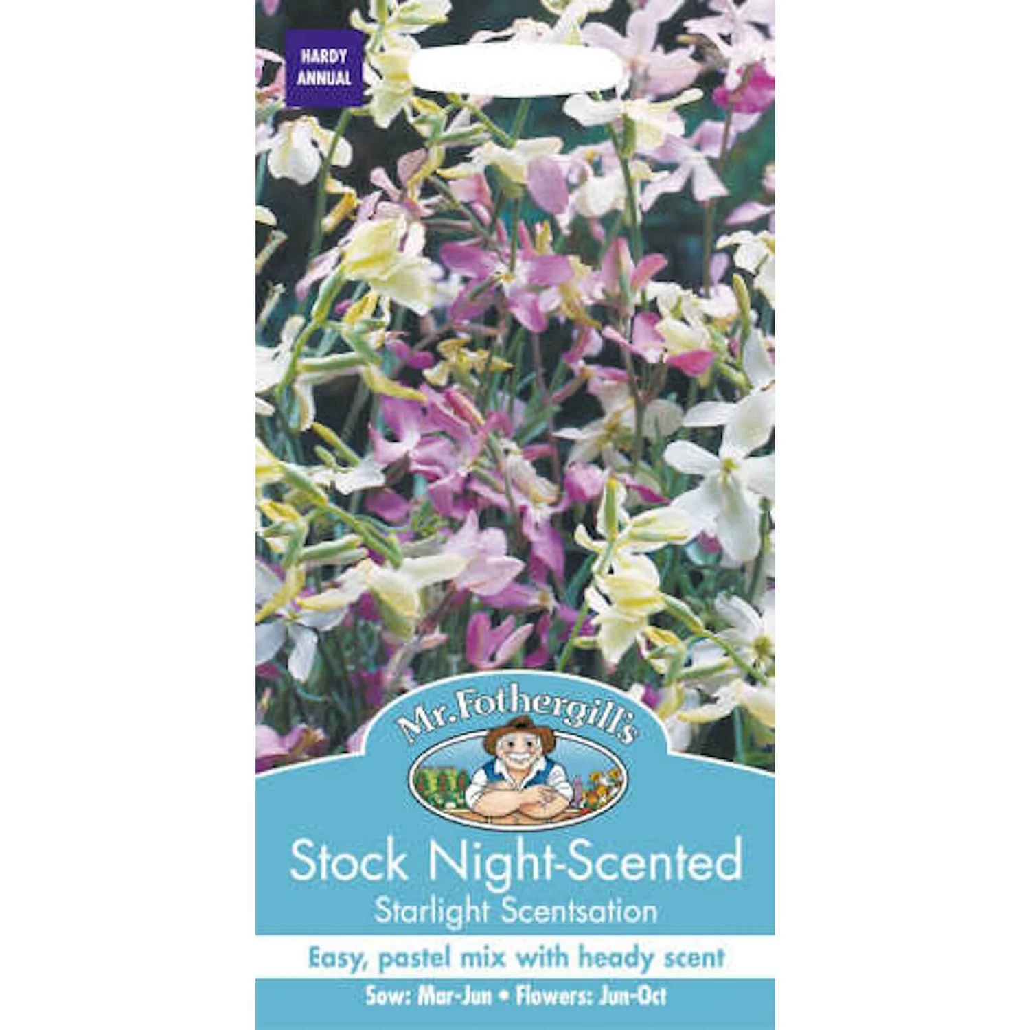 Mr. Fothergill's Stock Night Scented Starlight Scentsation Seeds 3 Mr. Fothergill's Stock Night Scented Starlight Scentsation Seeds