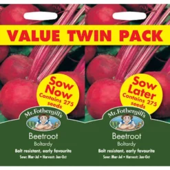 Mr. Fothergill's Beetroot Boltardy Bumper Pack Seeds