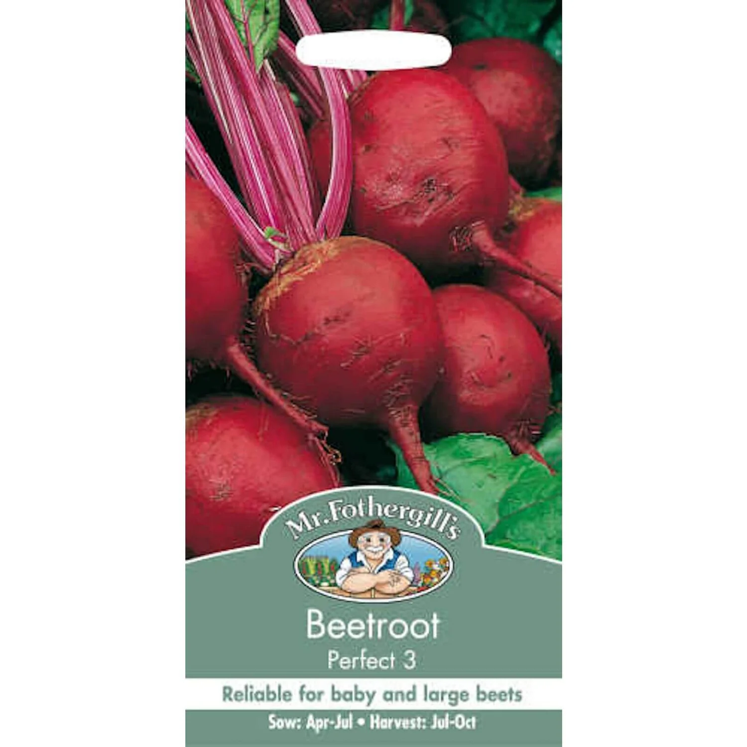 Mr. Fothergill's Beetroot Perfect 3 Seeds 3 Mr. Fothergill's Beetroot Perfect 3 Seeds