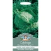 Mr. Fothergill's Cabbage Savoy King F1 Seeds -GreenScape Sales Store 12820121 1264831952662092