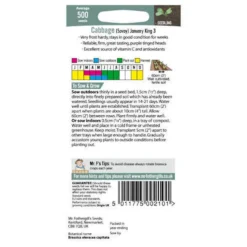 Mr. Fothergill's Cabbage Savoy January King 3 Seeds -GreenScape Sales Store 12820123 3524833170604732