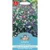 Mr. Fothergill's Lobelia Cascade Mixed (Lobelia Erinus) Seeds -GreenScape Sales Store 12820596 1004831918822572