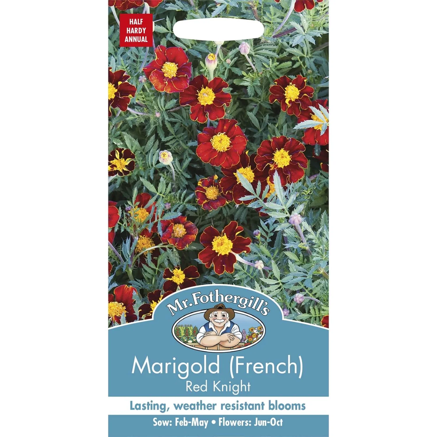 Mr. Fothergill's Marigold French Red Knight 3 Mr. Fothergill's Marigold French Red Knight