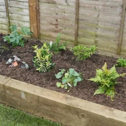 Evergreen Border 5m X 40cm 11 Evergreen Border 5m X 40cm -GreenScape Sales Store 12823315 1985027892333936