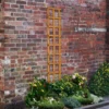 Heavy Duty Trellis - 30cm - Pack Of 10 -GreenScape Sales Store 12823390 7864831944744888