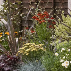 Mediterranean Border 4m X 40cm -GreenScape Sales Store 12823480 6355027802837102